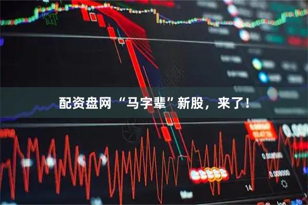 配资盘网 “马字辈”新股，来了！